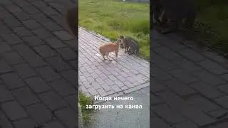 ....
