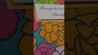 Through the lens of 24: your beautiful story 
