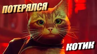 Stray - Новинка Киберпанк игра про Кота // Прохождение на Русском