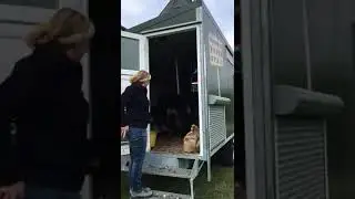 Versetzen des mobilen Putenstalls / ROWA Melle