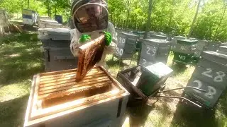 Не знаю як ви, а я добре стимульнув сім'ї перед дощами!