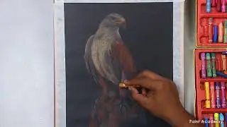 How to Draw Realistic Eagle Bird in Oil Pastel | step by step