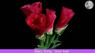 These Are The Most Beautiful Flowers In The World