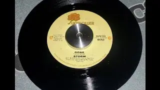 RARE SOUL 45 - Storm - Gone
