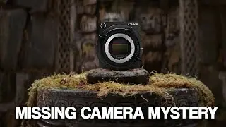 Where are All the New Canon Cameras?