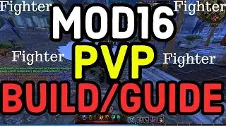 M16 FIGHTER PVP BUILD - GUIDE