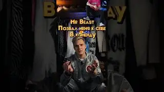 ❌Мистер Бист был в шоке❌