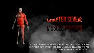 Blender's X-Muscle System Course Chapter 7 | Muscle Physics