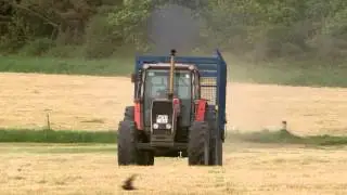 Massey Ferguson 2725- SILAGE 2012