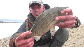 Лапоточки караси на донку! Потрошилово 2020! Рыбалка в красноярском крае! Рыбалка в Сибири!