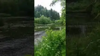 Шикарное место на реке Ора