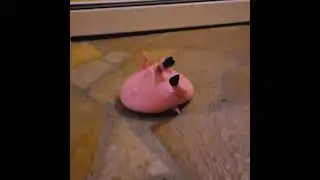 pig splat