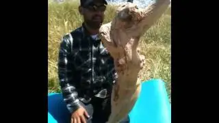 Michael Jimenez Sculpting on West Cliff