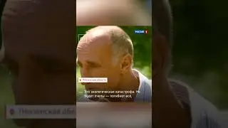 Пчёлы погибают 😢😢😢