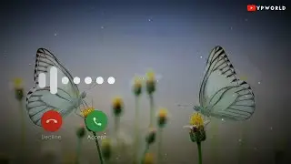 New Hindi Ringtone 2020 || Punjabi Ringtone Mp3 || Roi Na || Famous Trending Ringtones