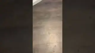 I “PEAD” on the floor