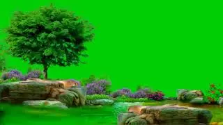 Green screen video. copyright free video. green background.Hd video. #backgroundgreenscreen #green.