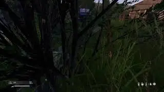 Dayz Duo