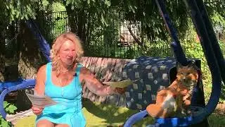 146.ЛИСИЧКИН ХЛЕБ.М.ПРИШВИН