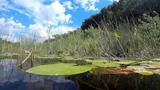 WHAT IS HIDDEN AT THE BOTTOM OF THE RIVER? THE UNDERWATER WORLD OF THE CHEREKH RIVER