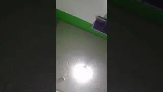 POV: Sexy thicc latina girl sits and twerks on your face