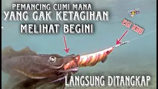 pemancing cumi mana yang gak ketagihan melihat begini ~ langsung ditangkap