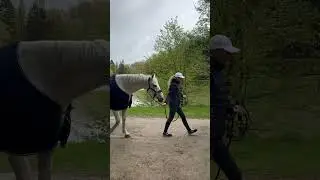 Cheval Libertè hestehengere hos Tilhengernor AS