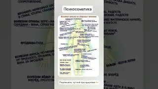 ⚠КАК СВЯЗАНЫ БОЛЕЗНИ С НАШИМИ МЫСЛЯМИ И ЧУВСТВАМИ? #здоровье #психосоматика#тело#мысли#чувства#люди