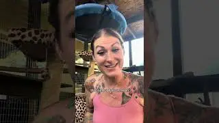 Updates and Announcement!