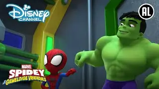Spidey | Super Vriendelijke Hulk 🕸️ | Disney Channel NL