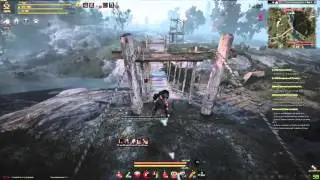 Black Desert about - GameNet ИДИТЕ НАХ*Й [Война за узлы]