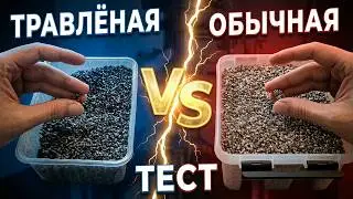 ⚡ПРАВДА ПРО ТРАВЛЕНУЮ СПН☝️ 