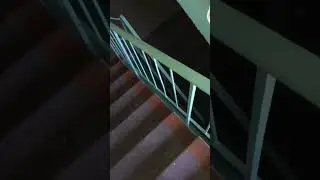 Кот Тяпа убежал