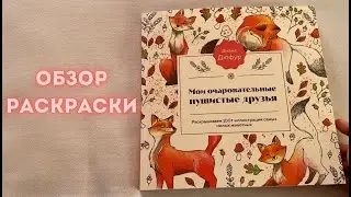 Обзор раскраски Пушистые комочки/ Мои очаровательные пушистые друзья. Мои впечатления