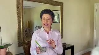 Highly Effective Solution To Insect Bites
