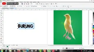 CARA MENYELEKSI OBJEK DI COREL DRAW X7
