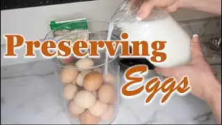 Preserving Eggs with Lime and Freeze Drying Eggs | Water Glassing Eggs | Preserving Eggs for winter
