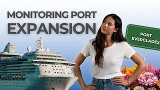 Port Everglades Widening & Deepening Project: Tracking a Changing Environment | NexSens Case Study