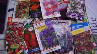 ПОКУПКА СЕМЯН №2 ОБЗОР, 2017г