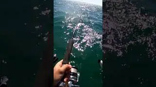 Extreme Kayak Jigging