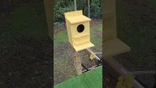 Squirrel Party is a safe-space, full of adventure
