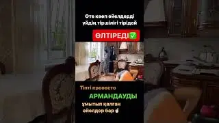 #ақботаабиевна