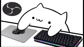 Como colocar o bongo cat no OBS STUDIO