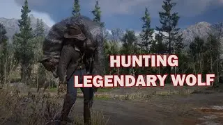 HUNTING LEGENDARY WOLF!!! IN Red Dead Redemption 2