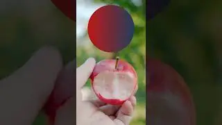 CONHEÇA O NORTE DA ITÁLIA EM UM ROTEIRO EXCLUSIVO! #italia #suica #austria #berninaexpress