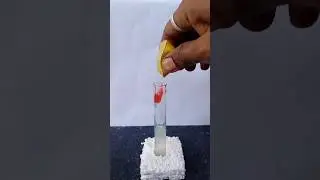 Chemical Reaction 🧫🔥।। Easy science experiment 👨‍🔬।। 