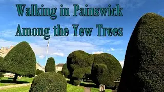 Walking in Painswick: Among the Yew Trees