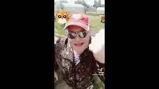Кошки на грядках😳