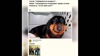 Обо всем по немногу и для каждого по чуть-чуть..... осень....улыбаемся....
