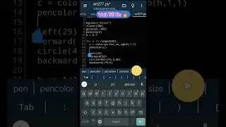 Python Turtle Ninza Graphics Art-277 | Coding Status 